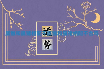 属猴和属猪相配不 属猴 🚍 和属猪相配不 👕 合吗