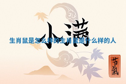 生肖鼠是怎么样 🌽 的 生肖鼠是什么样的人 💧